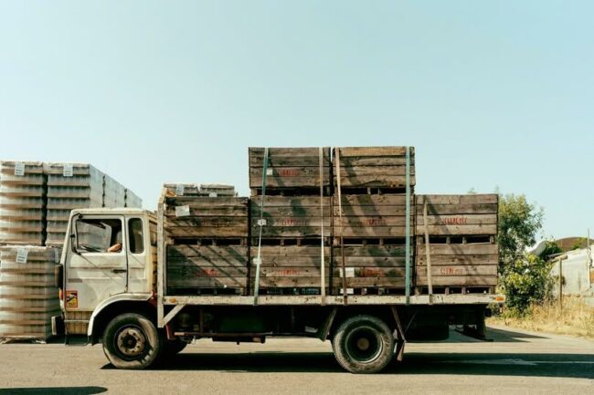 546488762_1393934309404659_8677214622991628904_n