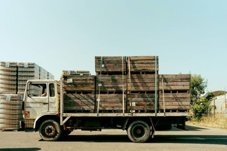 546488762_1393934309404659_8677214622991628904_n