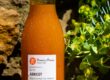 nectar d'abricot pressoirs de provence